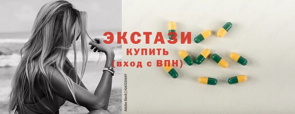 ECSTASY Богородицк