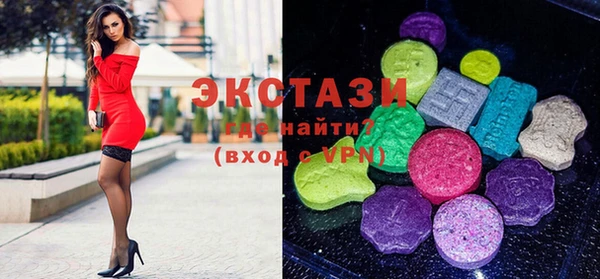 ECSTASY Богородицк